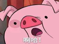 台儿庄区佳世恒数码产品经营部