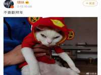 台儿庄区佳世恒数码产品经营部