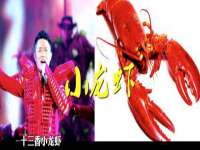 台儿庄区佳世恒数码产品经营部